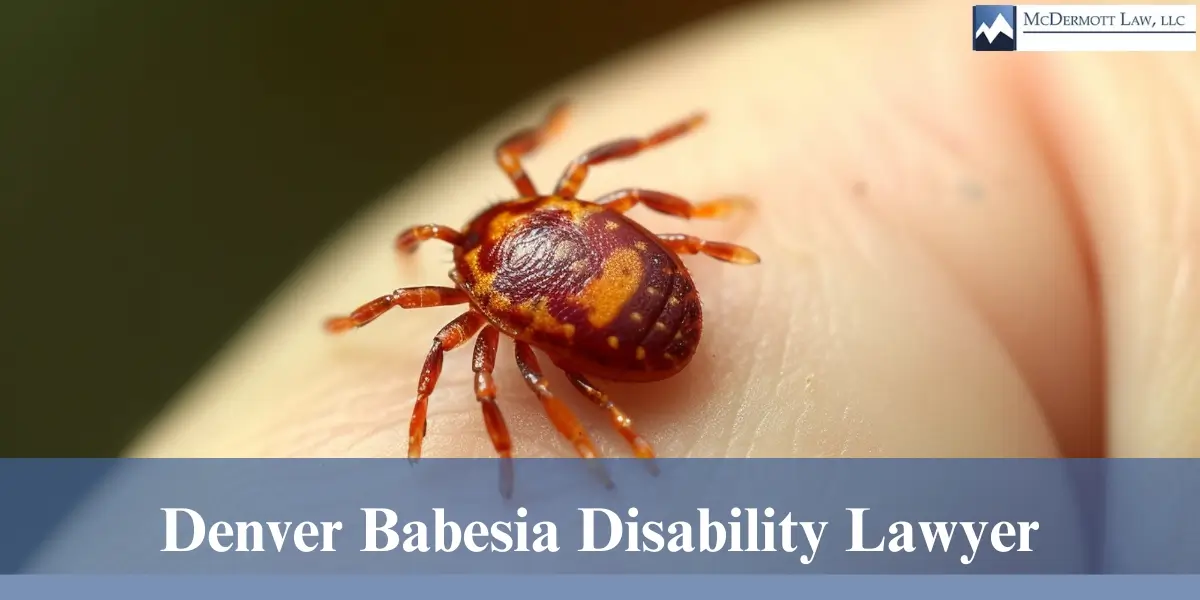 hire top denver babesia disability lawyer